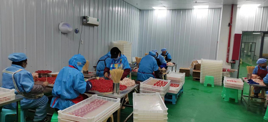 水城區供銷社 興辦企業架起搬遷戶就業橋——投資咨詢助力鄉村振興