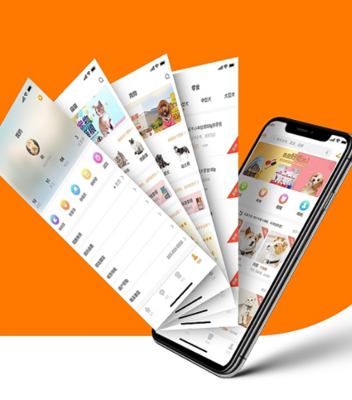 綿陽手機(jī)軟件開發(fā),沈陽app公司