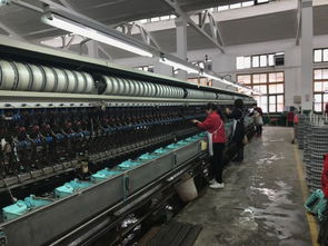 綿陽豐谷絲廠,樂至紅旗絲廠的學生,如今超過樂至了