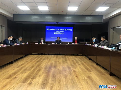 綿陽(yáng)發(fā)布知識(shí)產(chǎn)權(quán)發(fā)展與保護(hù)狀況白皮書(shū)